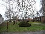 Třibřichy