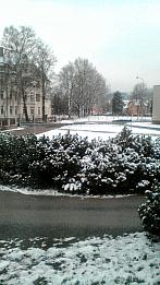 Město Albrechtice