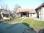 Třibřichy