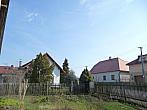 Třibřichy