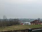 Třibřichy