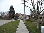 Třibřichy
