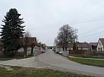 Třibřichy