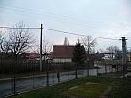 Třibřichy