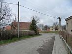 Třibřichy