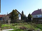 Třibřichy
