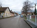 Třibřichy