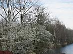 Neratovice