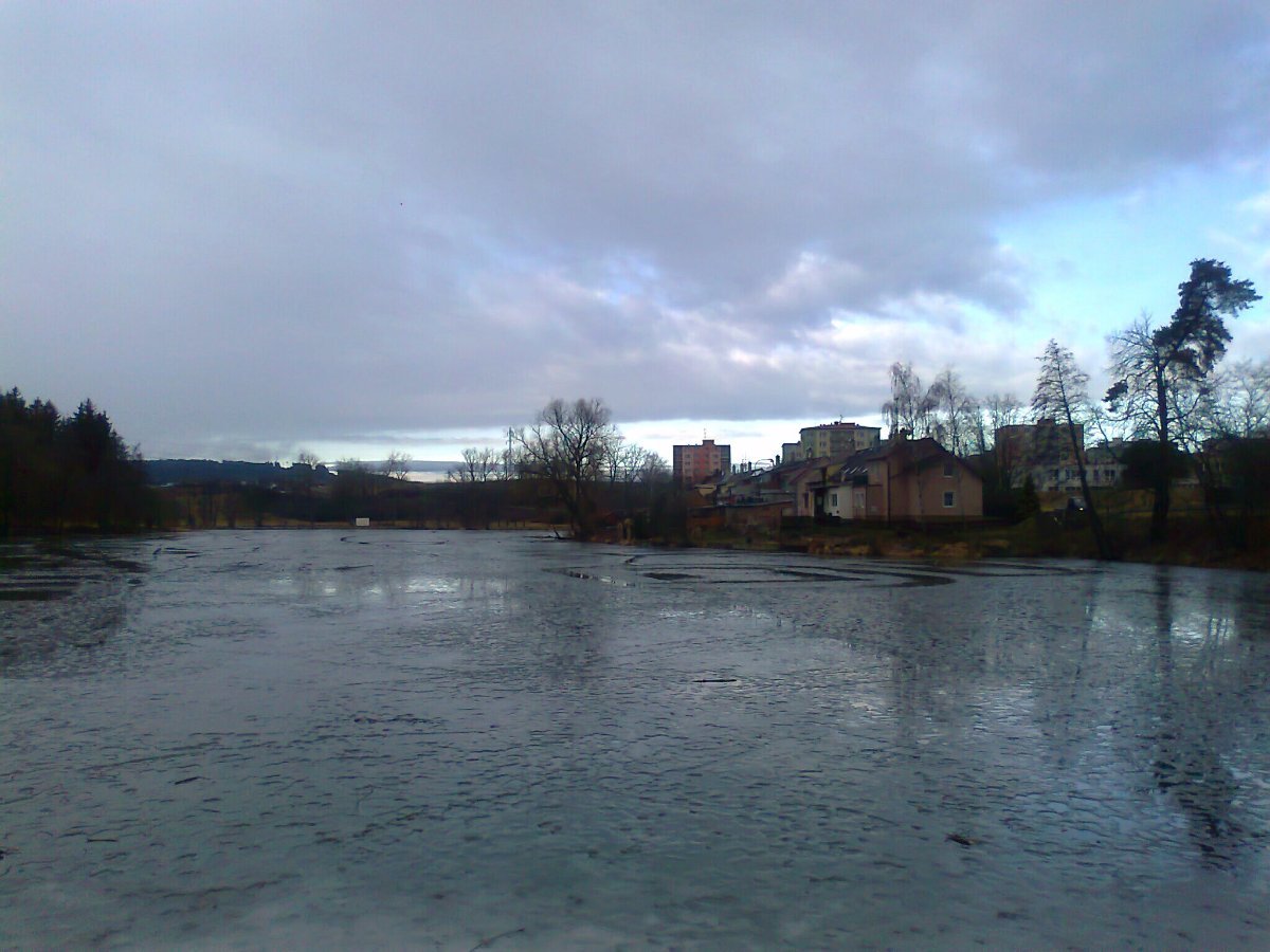 Borovina