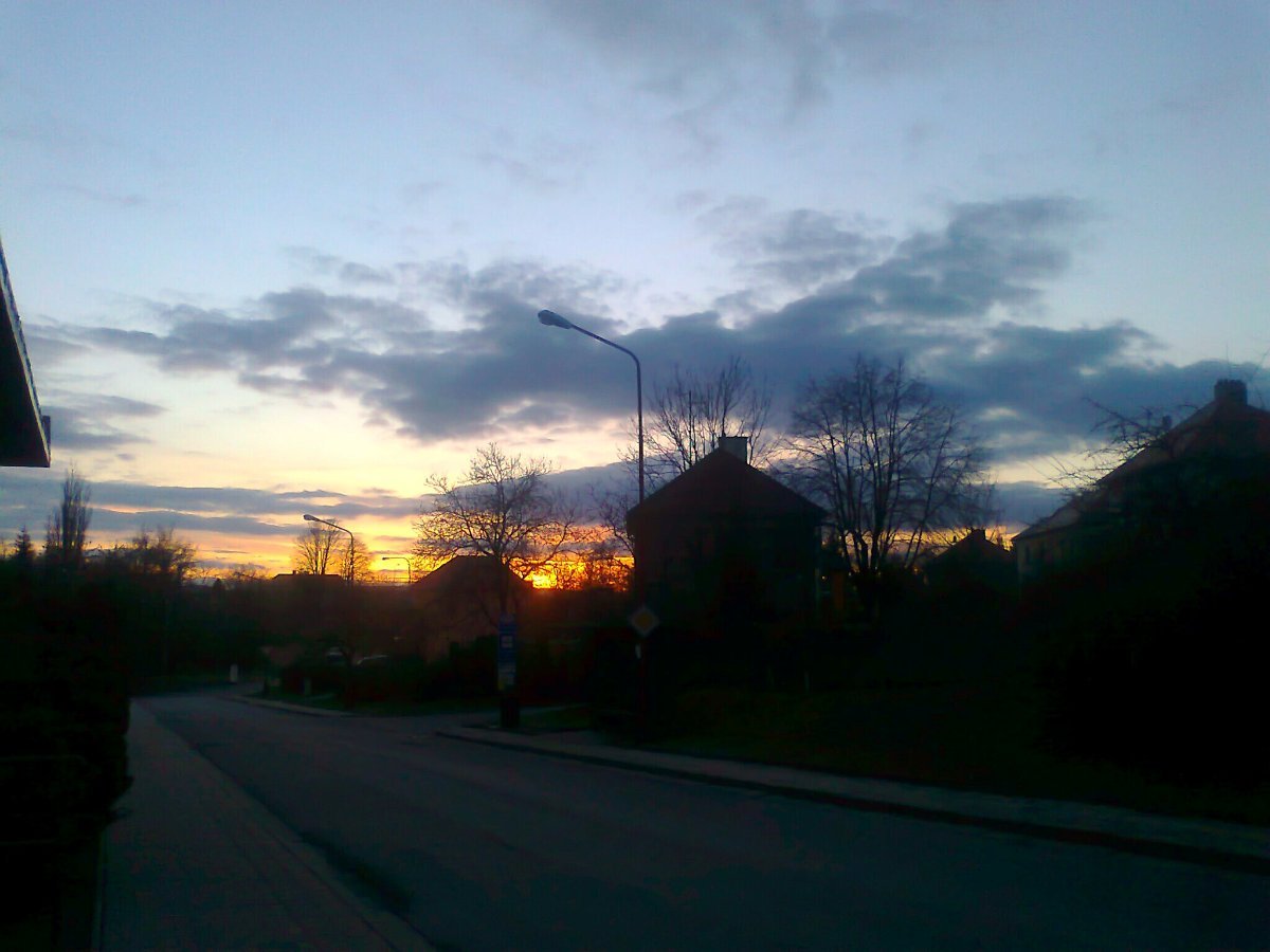 Borovina