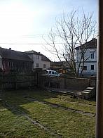 Třibřichy