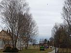 Třibřichy
