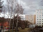 Borovina