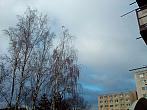 Borovina