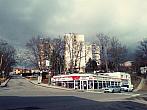 Borovina