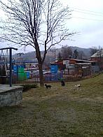 Skalité