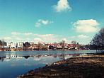 Borovina