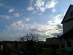 Borovina
