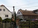 Třibřichy