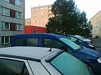 Borovina