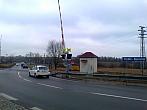 Borovina