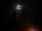 Borovina