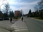 Borovina