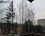 Borovina