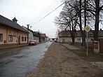 Třibřichy
