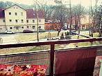 Borovina