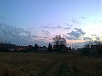 Borovina