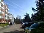 Borovina