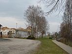 Třibřichy