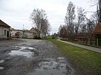 Třibřichy