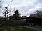 Třibřichy