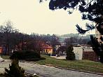 Borovina