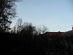 Třibřichy
