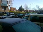 Borovina
