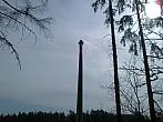 Borovina
