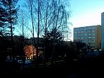 Borovina