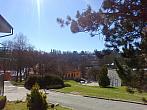 Borovina