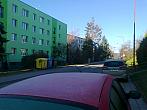 Borovina