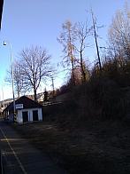 Skalité