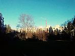 Borovina