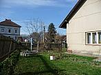 Třibřichy