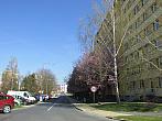 Neratovice