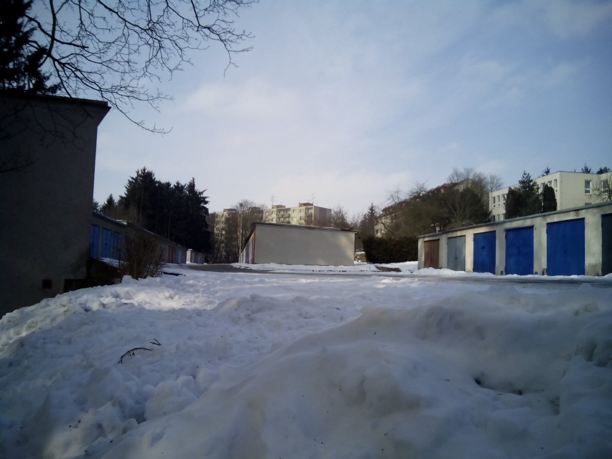 Borovina