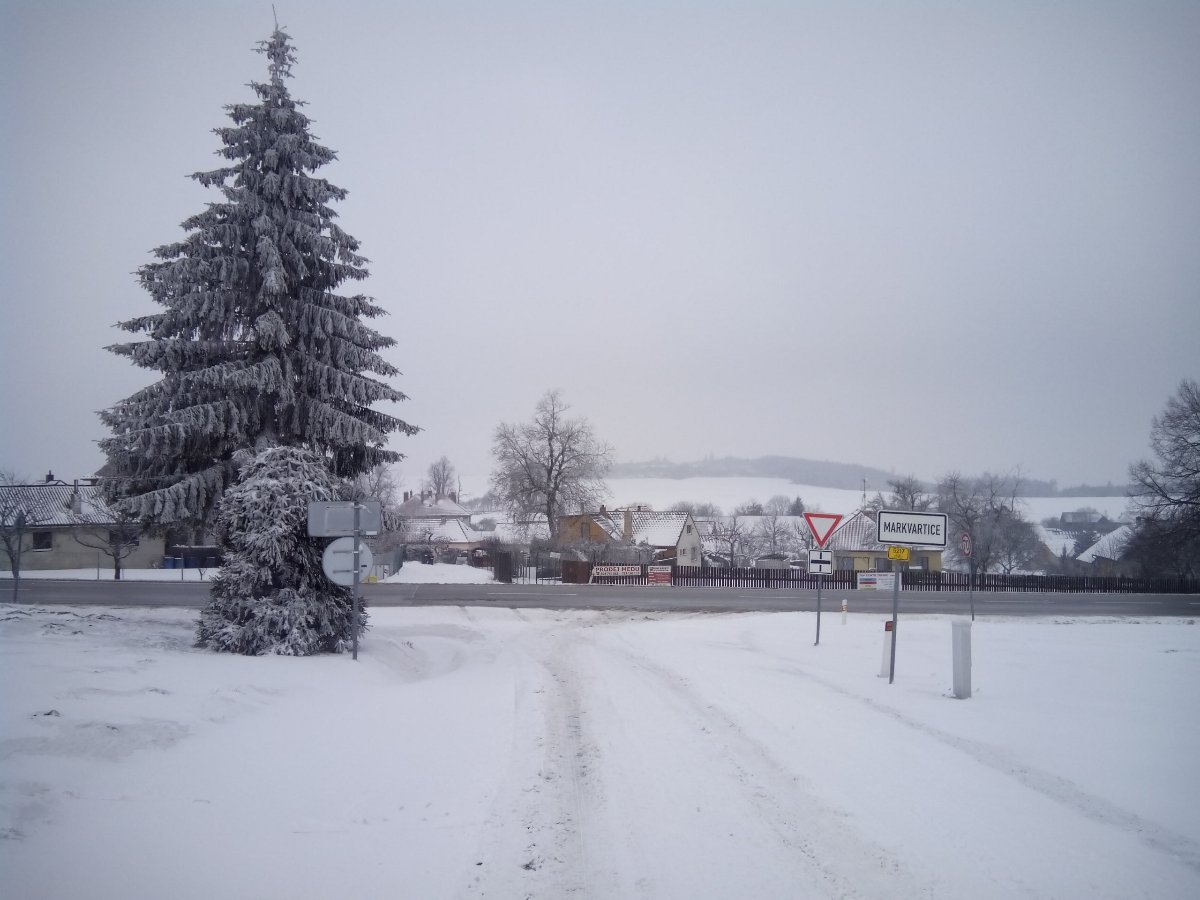 Markvartice