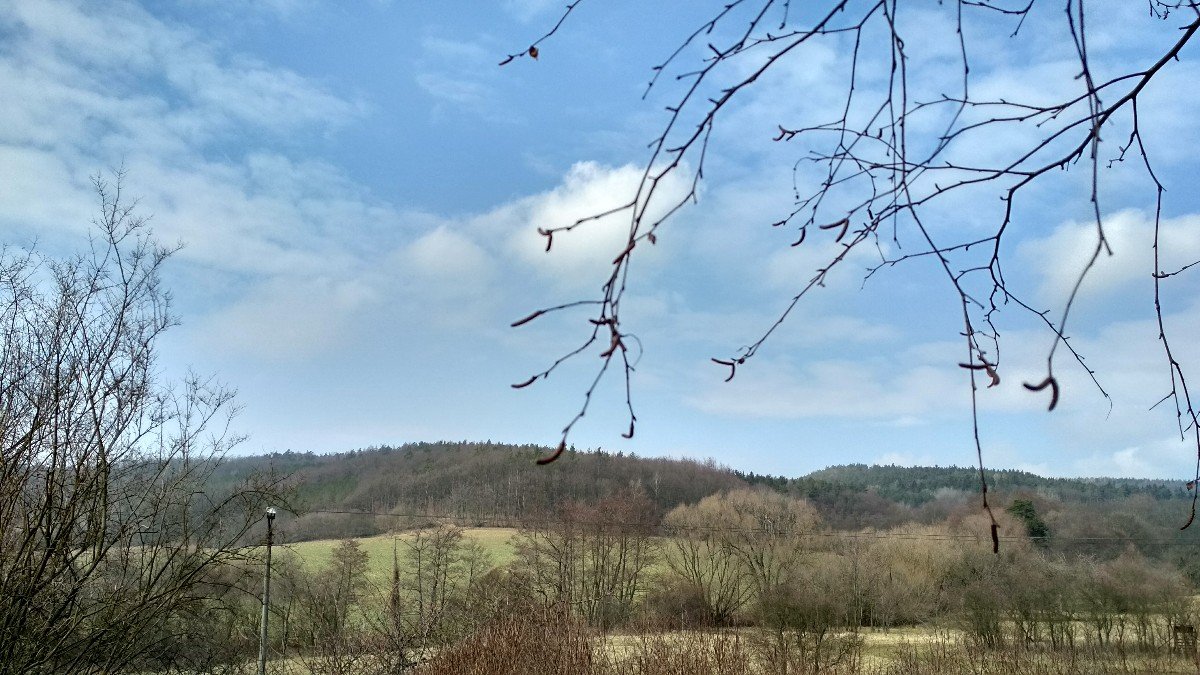 Habrovany