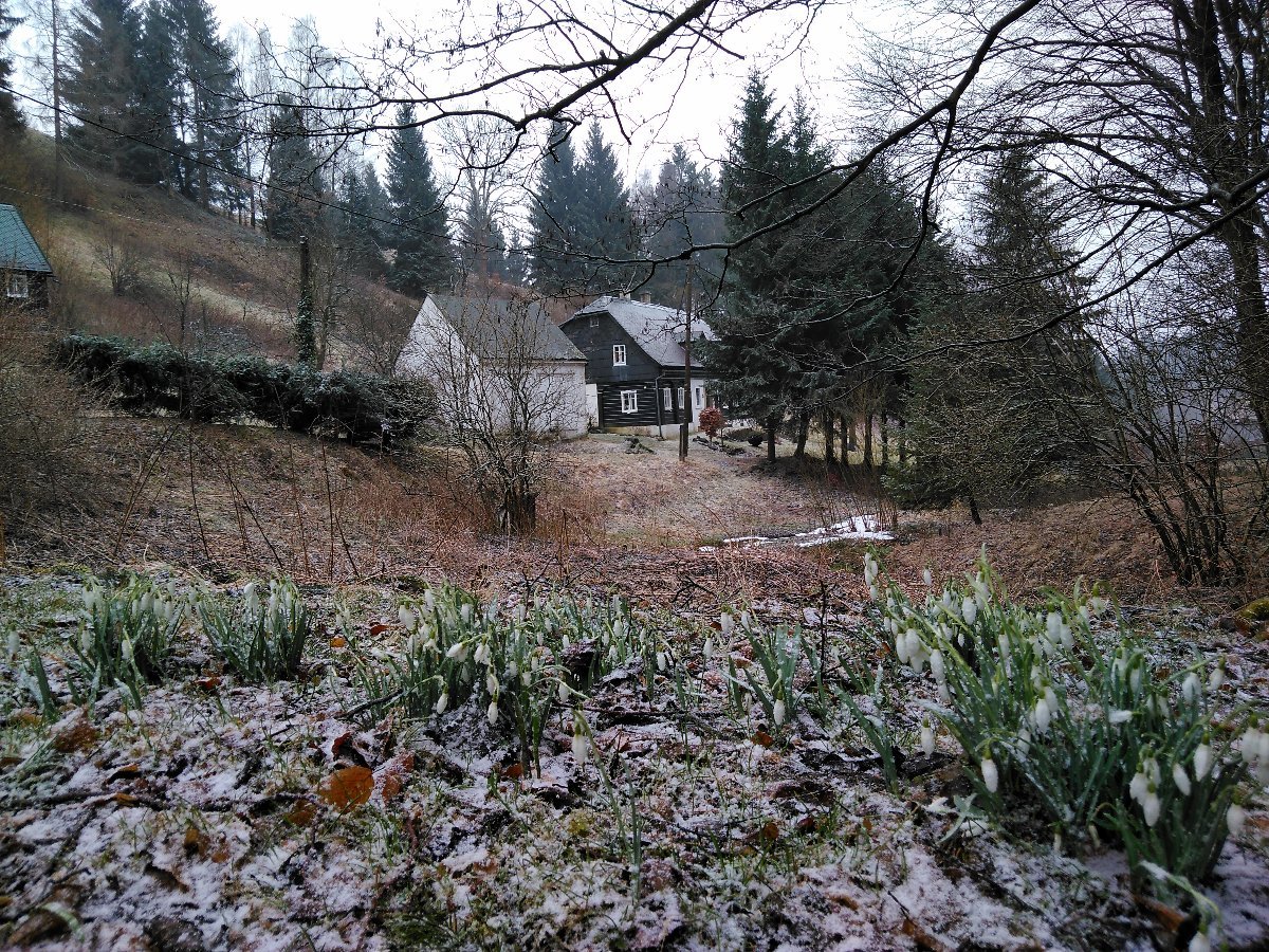 Sněžná